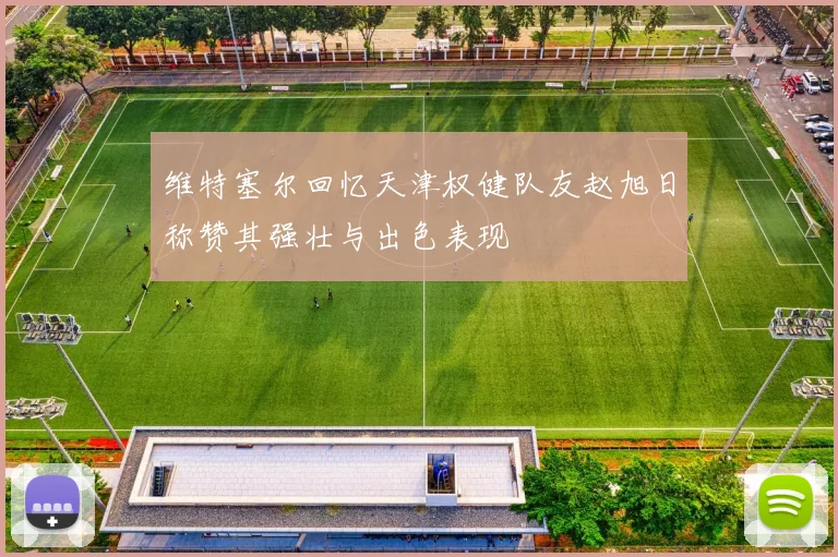 维特塞尔回忆天津权健队友赵旭日称赞其强壮与出色表现