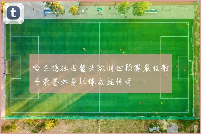 哈兰德独占鳌头欧洲世预赛最佳射手荣誉加身16球成就传奇
