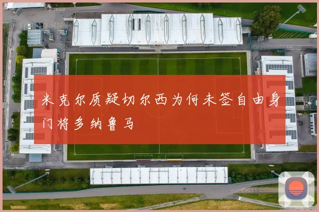 米克尔质疑切尔西为何未签自由身门将多纳鲁马