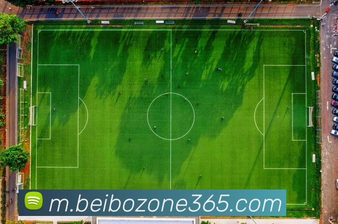 多媒体互动体验