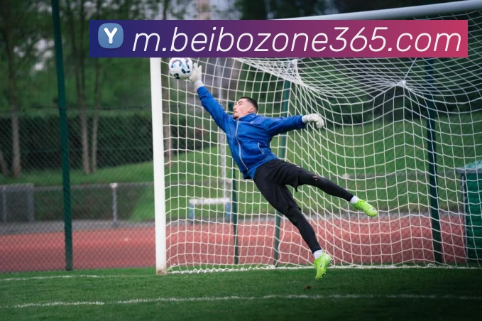 贝博体育官网APP 高清赛事图